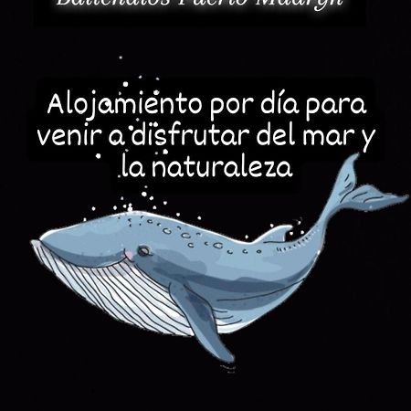 Ballenatos Madryn Puerto Madryn Dış mekan fotoğraf